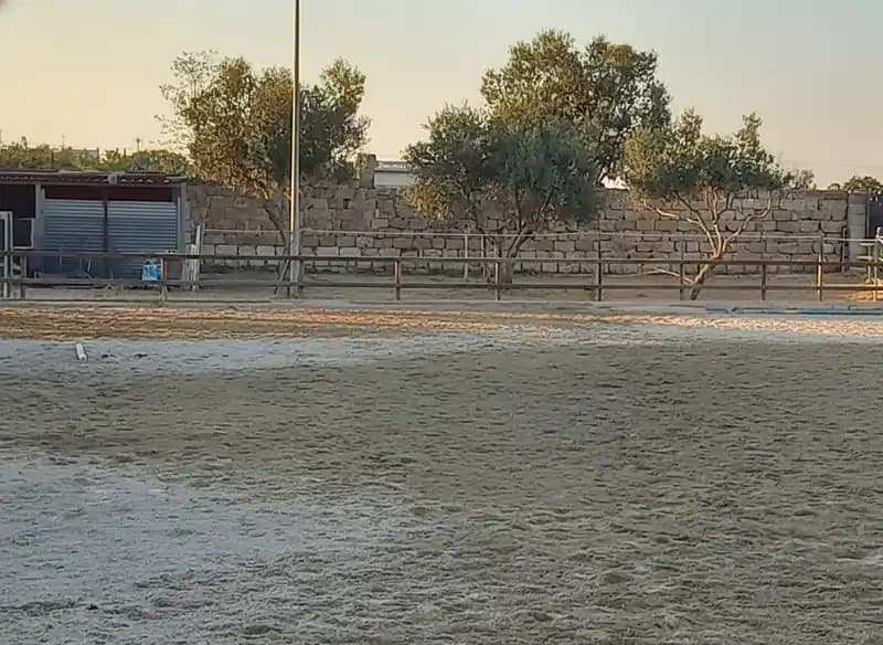 A.S.D. Eleventh Horse Club — Equitazione