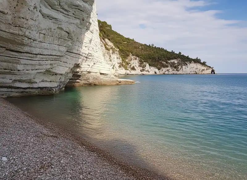Gulls Bay — Beach (free-access)