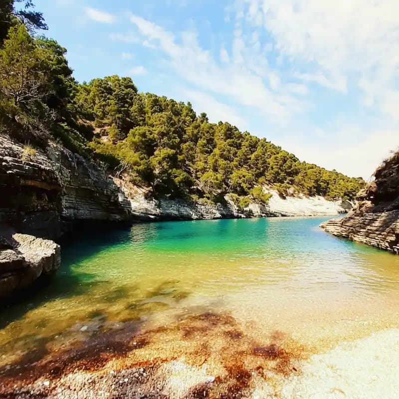Cala della Sanguinara Beach — Vieste