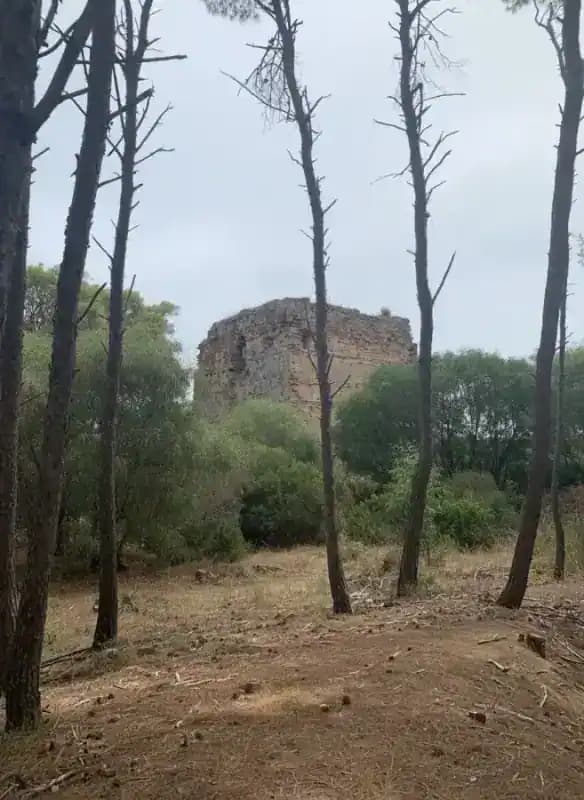 Torre di Bradano (ora Mattoni) — Torri