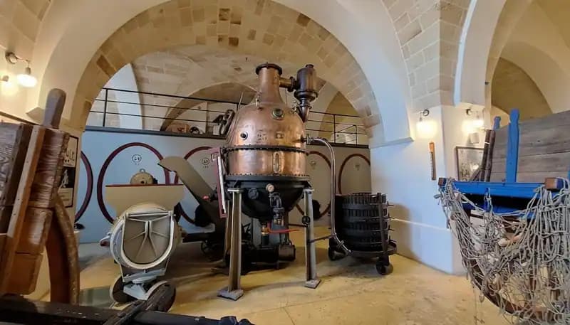 Museo della Civiltà del Vino Primitivo — Musei