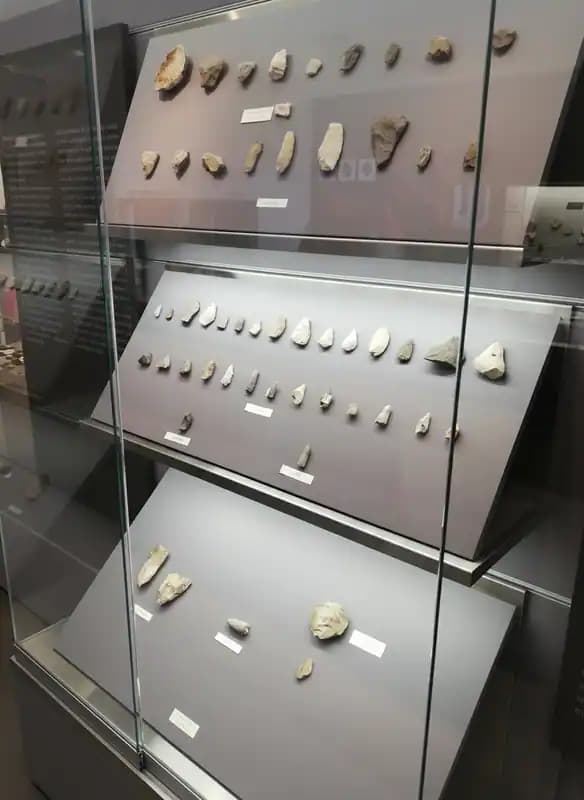 Museo della Preistoria di Nardò — Musei