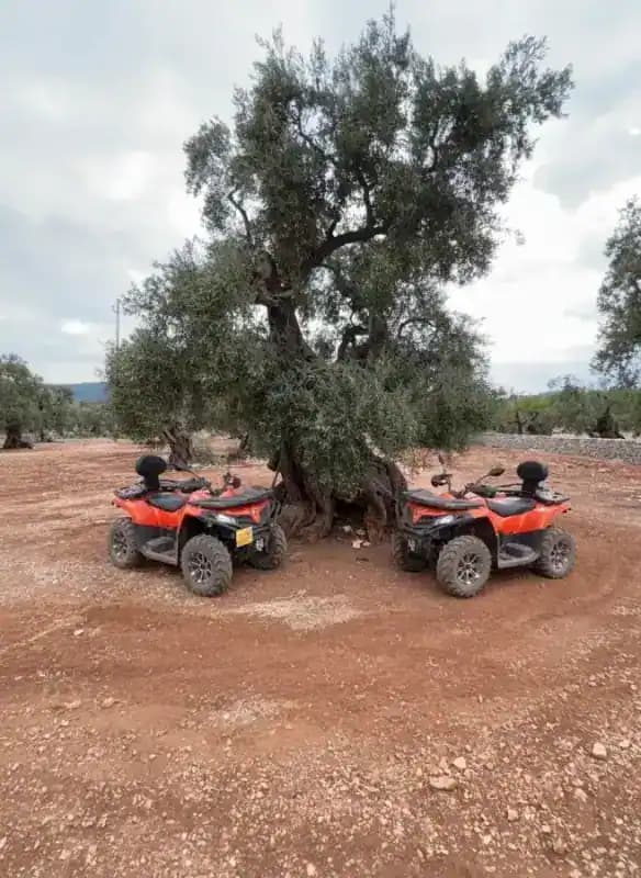 Quad-Vermietung Apulien — Quad