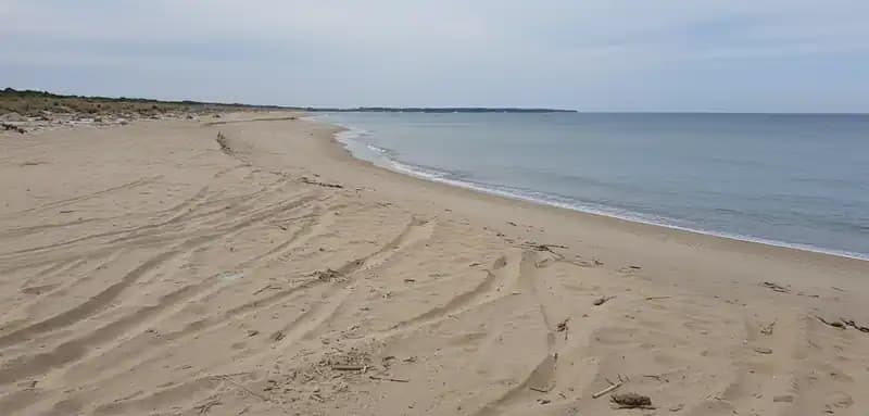 Morella Beach — Lesina