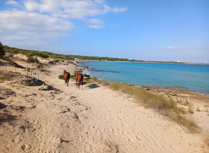 Reitanlage Itri — Reiten