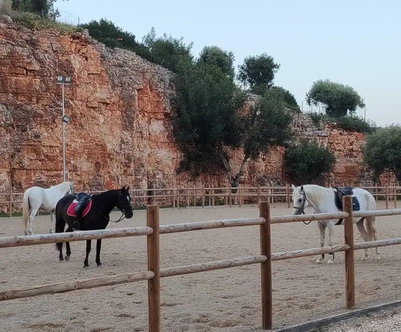 Horse Club Matarano — Fasano