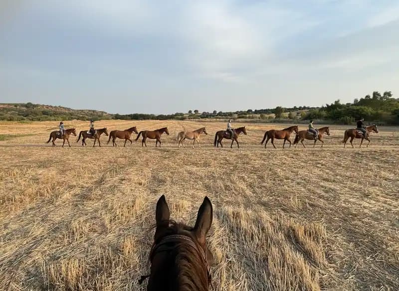 Cosmo Ranch — Equitazione
