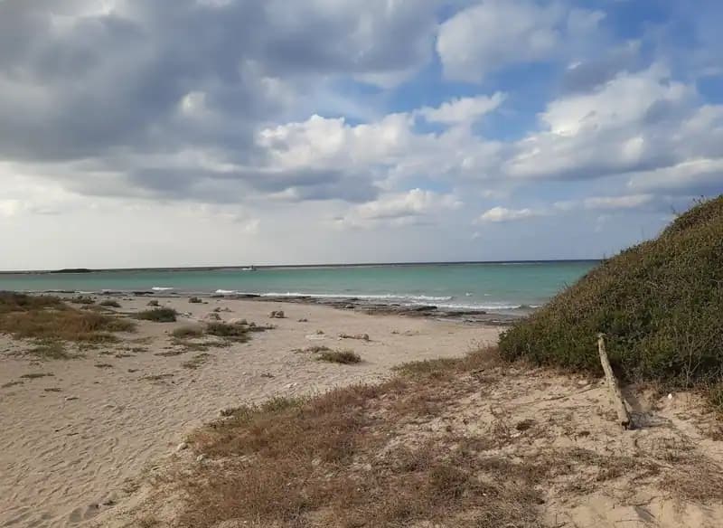 Torre Chianca Basin — Beach (free-access)