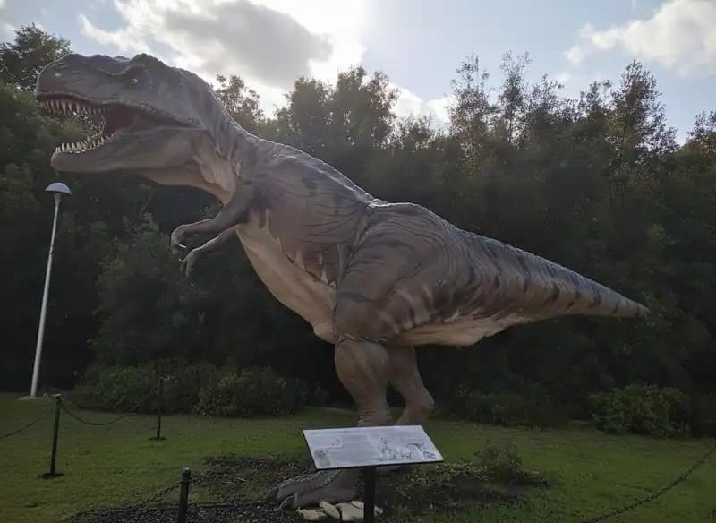Museum für Naturgeschichte des Salento — Museen