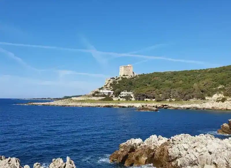 Torre Santa Caterina — Torri