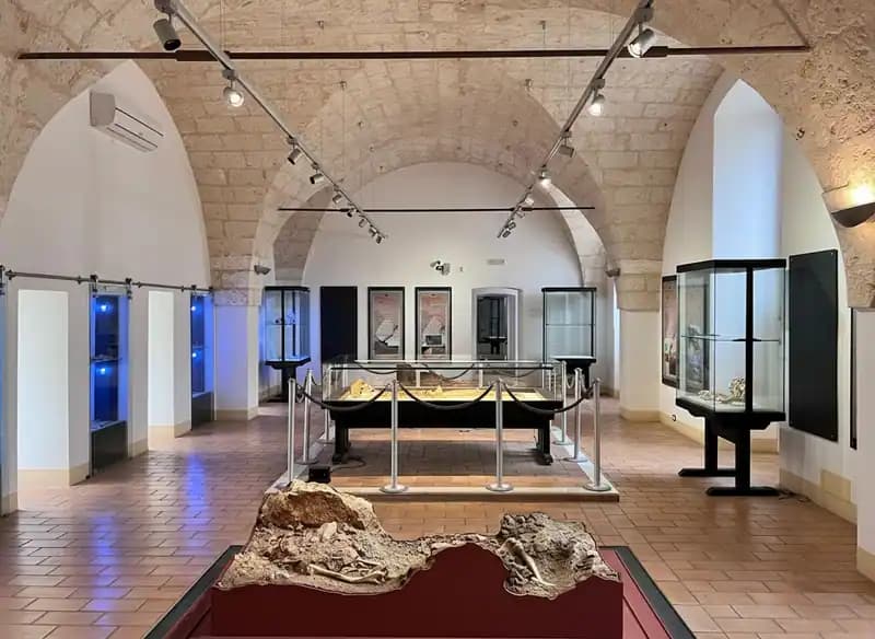 Museum für Präklassische Zivilisationen der Südlichen Murgia — Ostuni