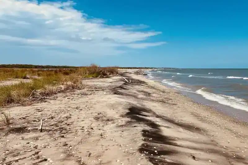 Naturschutzgebiet WWF Le Cesine — Naturreservate