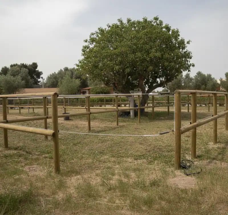 ASD Circolo Ippico Giuliana — Equitazione