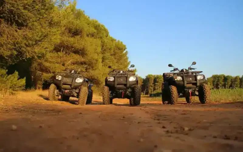 Discovery Quad — Quad