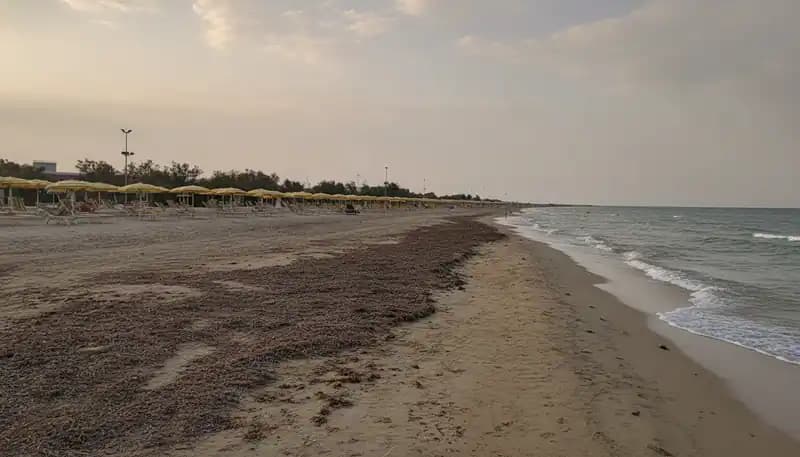 Freier Strand der Idrovore — Strand (freier Zugang)