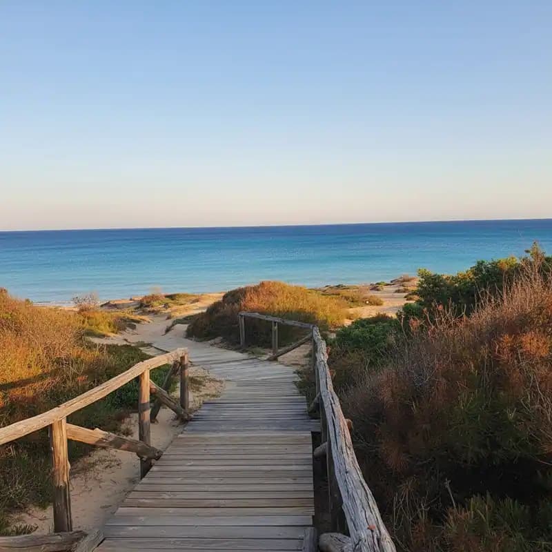 Dunes de Campomarino — Campomarino