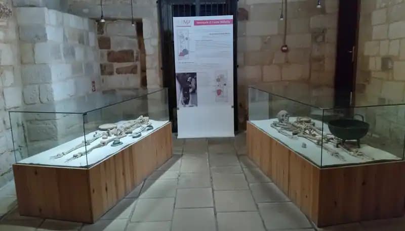 Museo archeologico della civiltà Messapica di Vaste — Musei