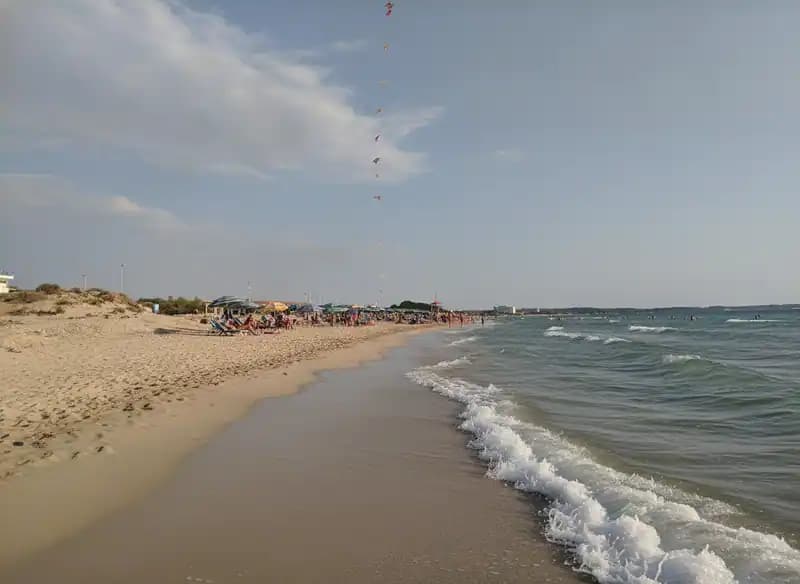 Freier Strand - Free Beach — Strand (freier Zugang)