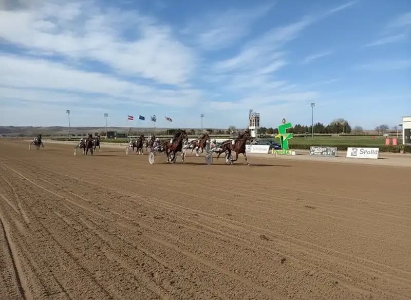 Ippodromo Dei Sauri — Equitazione