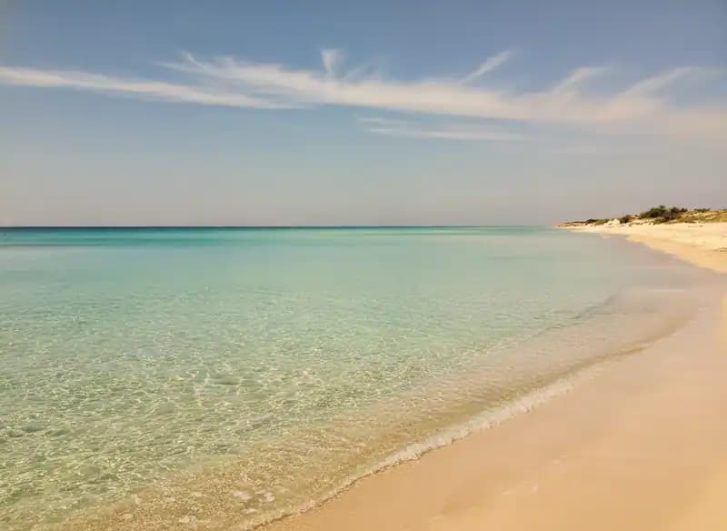 Posto Vecchio Beach — Beach (free-access)