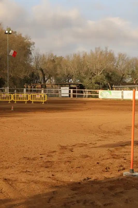Chiurizzi Ranch — Equitazione