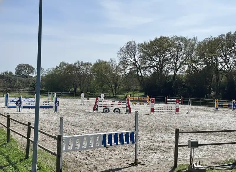 A.s.d. Equestrian Academy Monopoli - Maneggio & Scuola di Equitazione — Equitazione