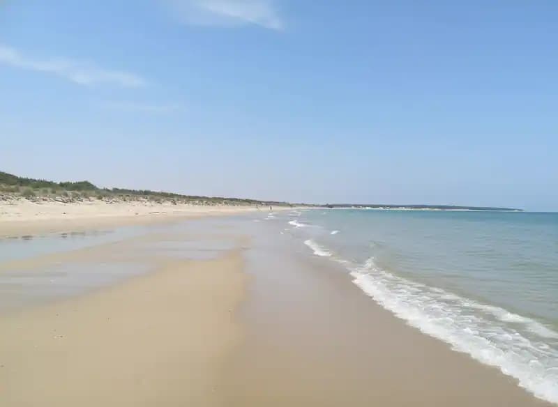 Pennacchio Beach — Lesina