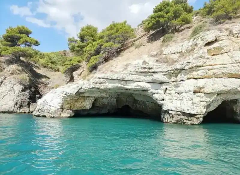 Grotta Campana Piccola — Meereshöhlen