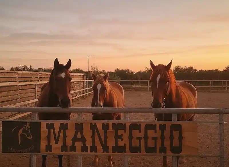 Ranch La Differenza — Equitazione