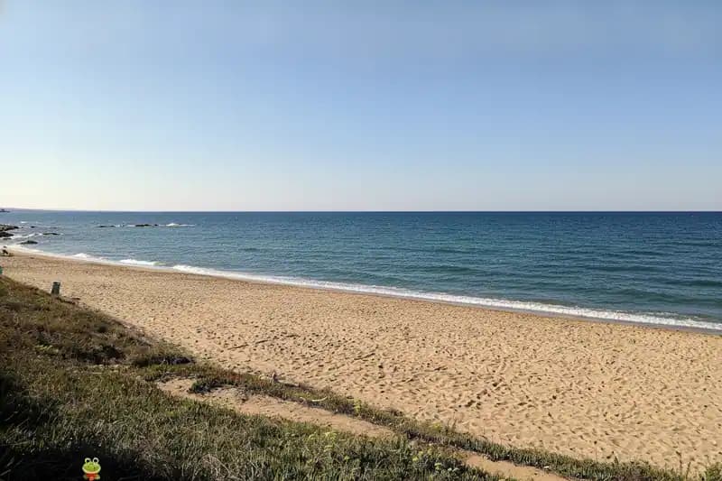 Sciaia Beach — Beach (free-access)