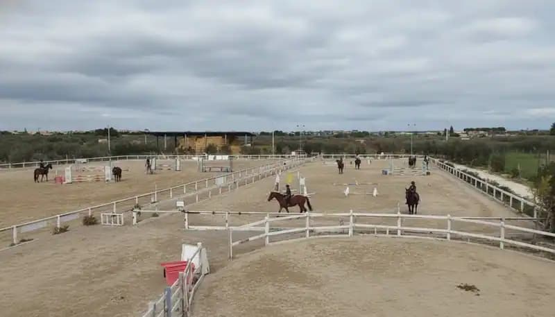 Riding Club Lobar — Equitazione