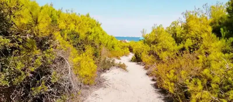 Regionalpark Punta della Suina und Insel Sant'Andrea — Naturreservate