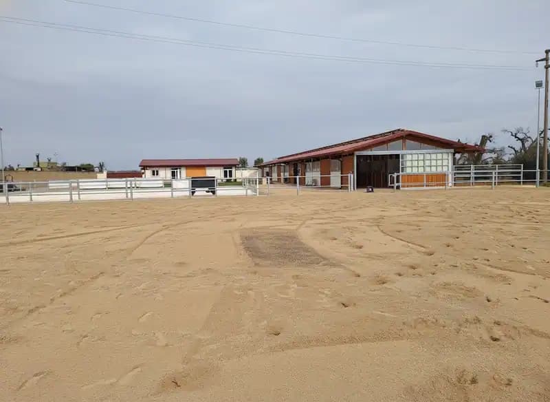 Scuderia Equestre Apulia - Scuola Federale di Sport Equestri — Equitazione