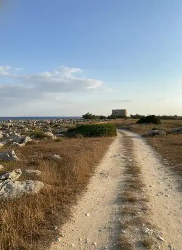 Torre dell'Inserraglio (Torre Critò) — Torri