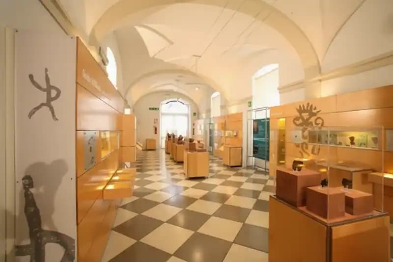 Museo Civico di Paleontologia e Paletnologia Decio de Lorentiis — Musei