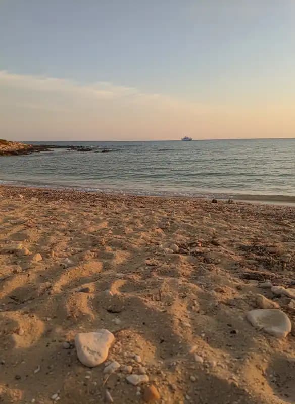 Free Beach - Brin Beach — Beach (free-access)