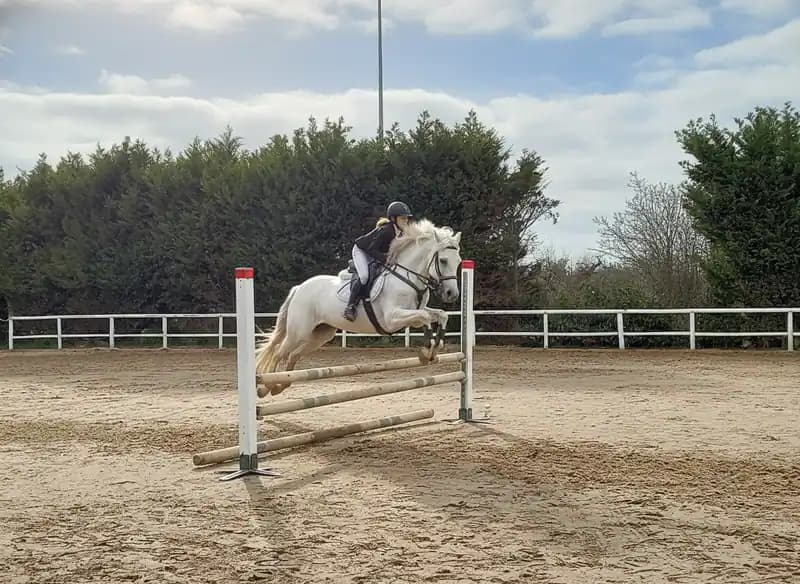 Reitclub Fanò Asd - Scorrano — Reiten