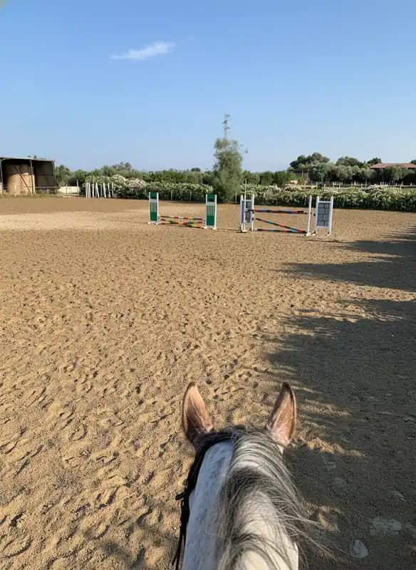 Circolo Ippico San Nicola — Equitazione