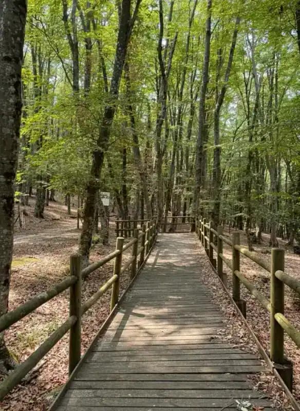 Naturschutzgebiet Sfilzi — Naturreservate