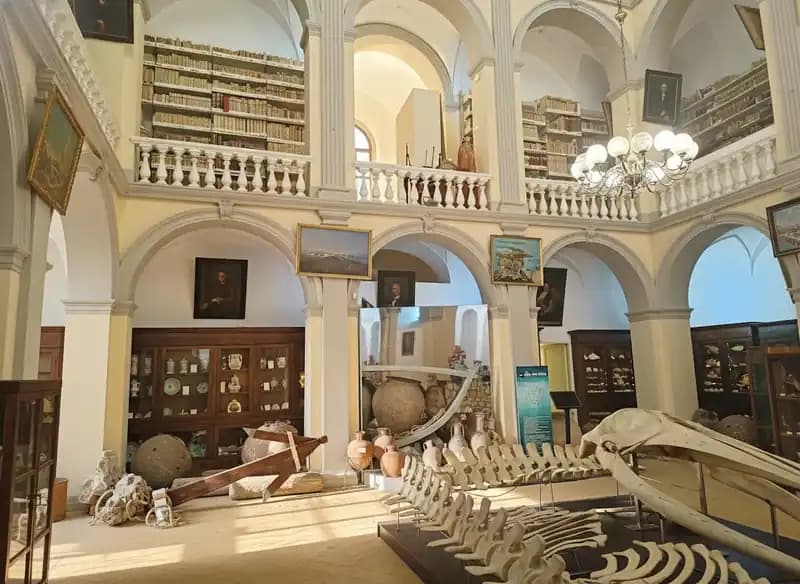 Bürgisches Museum "Emanuele Barba" — Museen