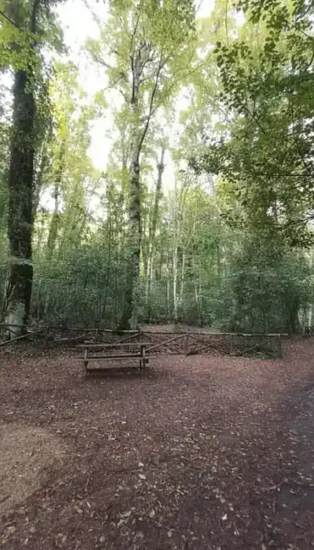 Naturschutzgebiet Falascone — Naturreservate