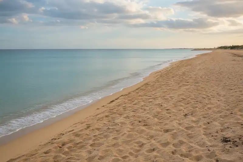 Torre Colimena Beach — Beach (free-access)