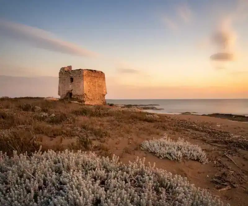 Torre Veneri — Torri