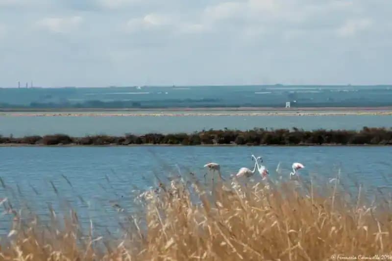 Naturschutzgebiet Il Monte — Naturreservate