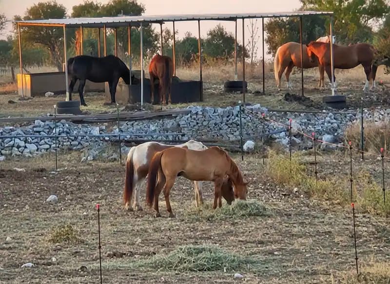 ASD Circolo Ippico Solinio Country Club — Equitazione