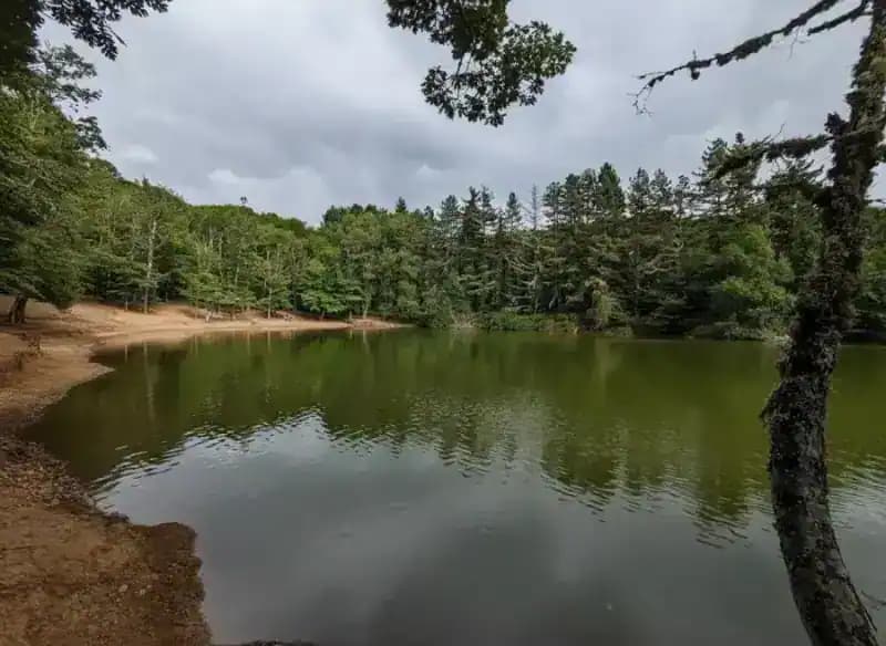 See Falascone d'Umbra — Naturreservate