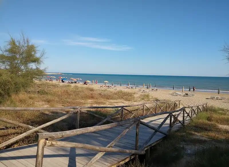 Foce Varano Beach — Beach (free-access)
