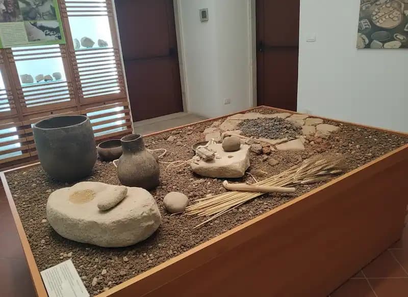 Städtisches Archäologisches Museum Pulo — Molfetta