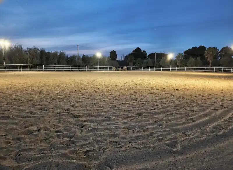 ASD Perazzo Ranch & Maneggio Barletta — Equitazione