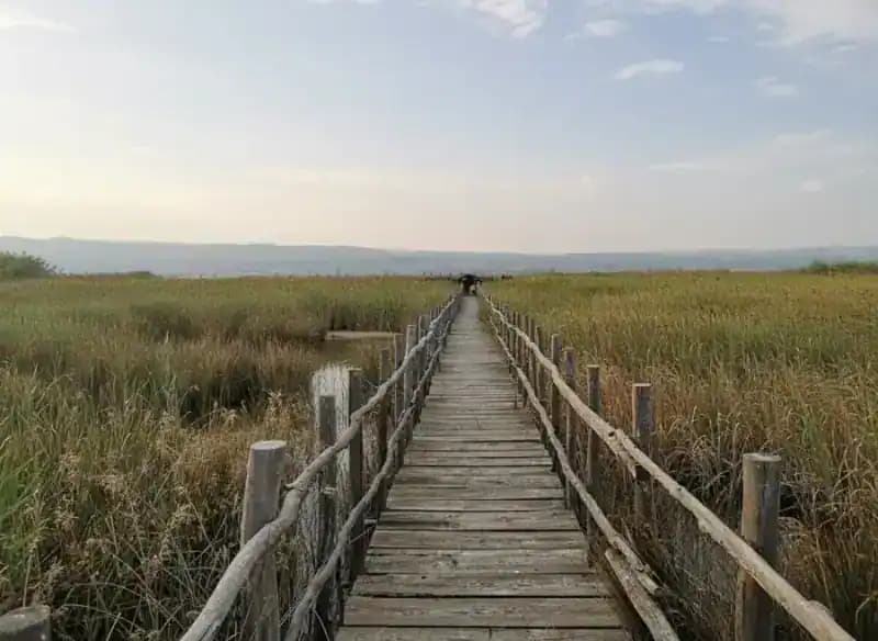 Staatliches Naturschutzgebiet Lesina-See "Sacca Orientale" — Naturreservate
